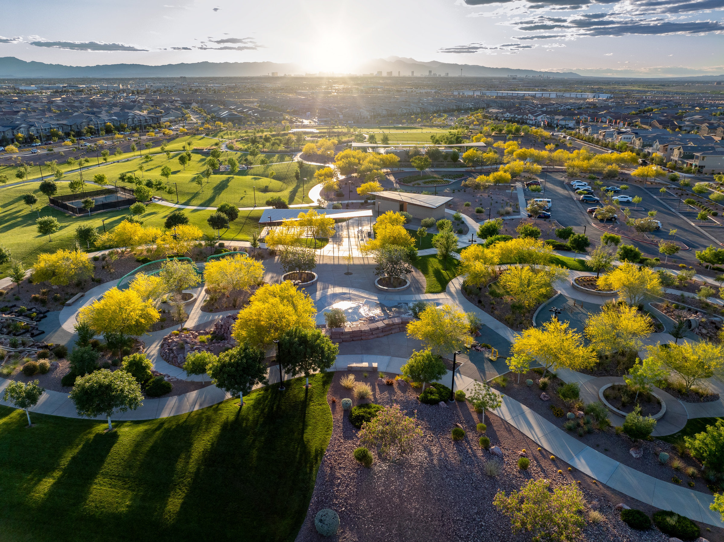 Sunburst over a Las Vegas park with blooming yellow trees